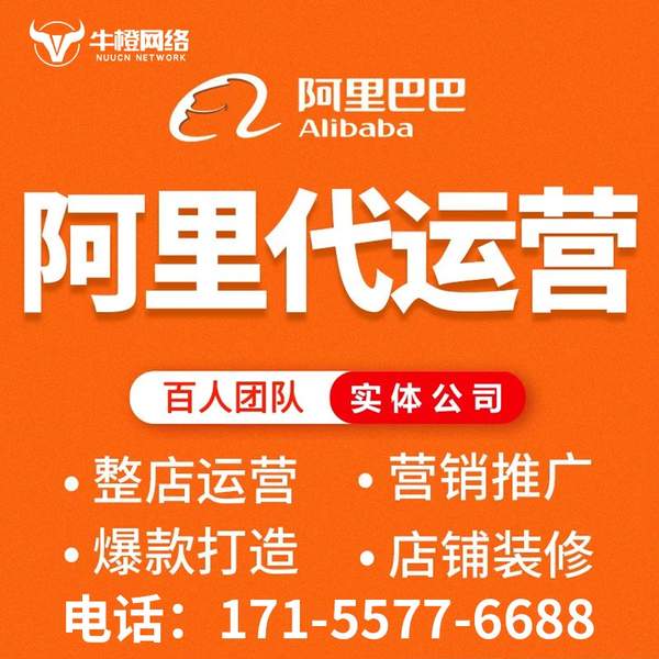 枣庄电商代运营