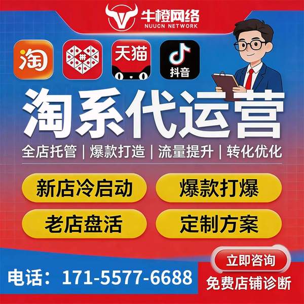 枣庄电商代运营