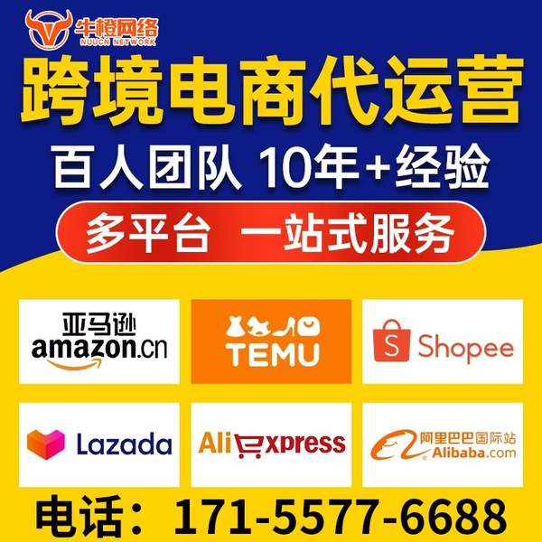枣庄电商代运营