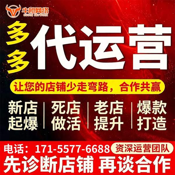 枣庄电商代运营