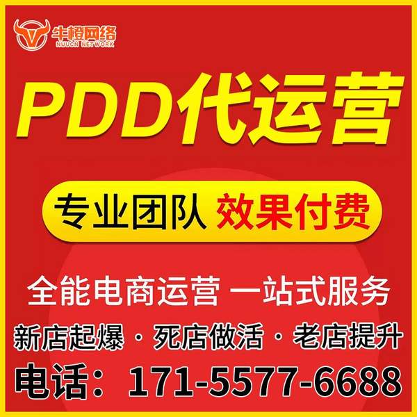 枣庄电商代运营