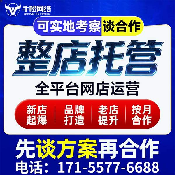 枣庄电商代运营