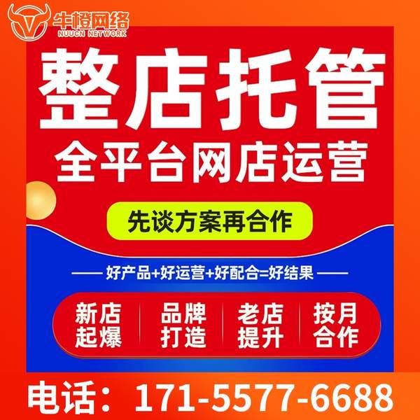 枣庄电商代运营