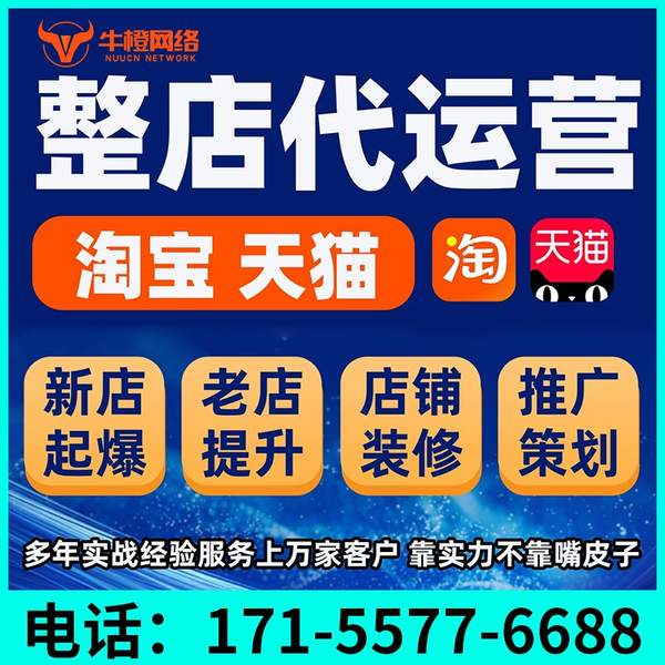 枣庄电商代运营