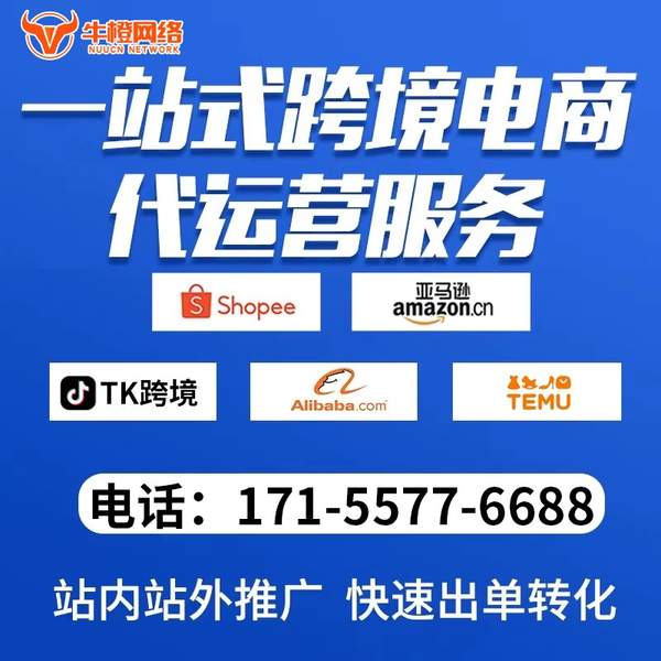 枣庄电商代运营
