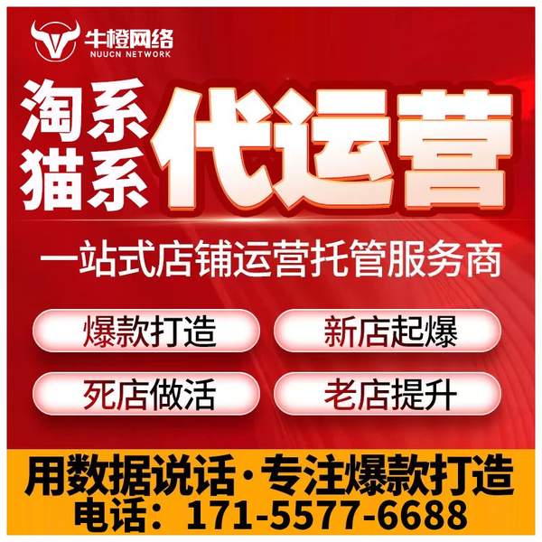 枣庄电商代运营